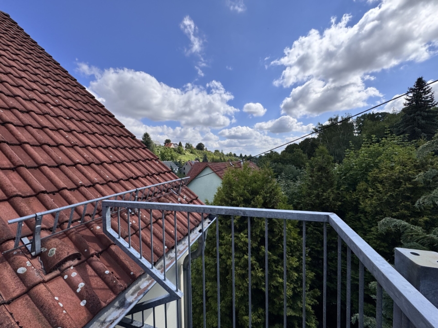 Blick