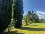 *RESERVIERT* Doppelhaushälfte mit herrlichem Grundstück in Dresden- Rochwitz - Garten